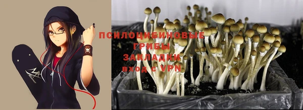 бошки Пересвет