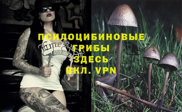 прущая мука Осинники