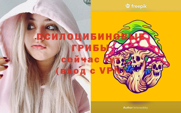 бошки Пересвет