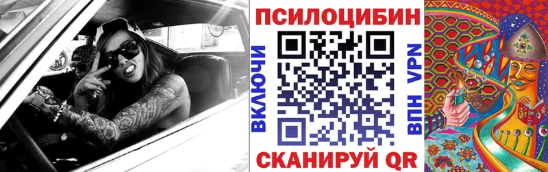 Галлюциногенные грибы Psilocybe Кадников